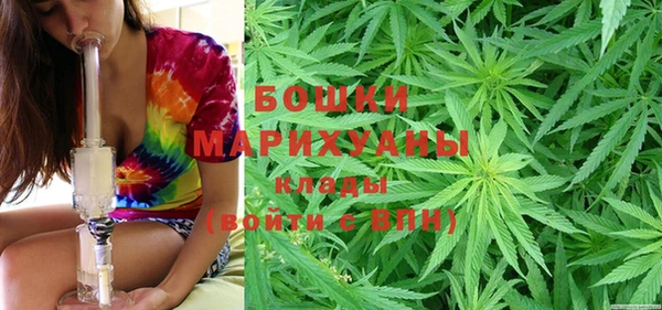не бодяженный Арсеньев