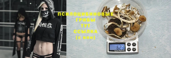 не бодяженный Арсеньев