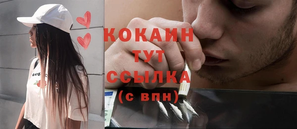 не бодяженный Арсеньев