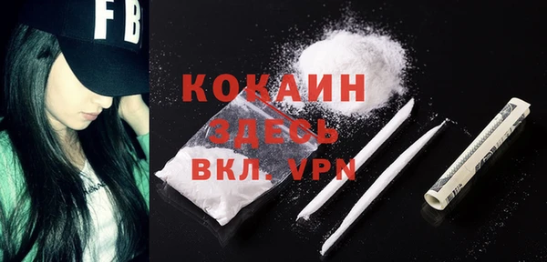 не бодяженный Арсеньев