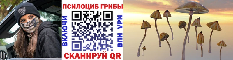 Псилоцибиновые грибы Psilocybine cubensis  Рыбное 